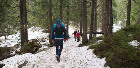 People hiking on a snowy trail