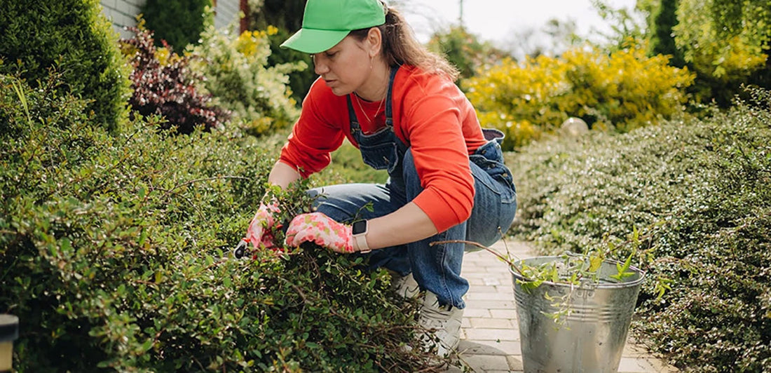 Removing poison ivy from garden