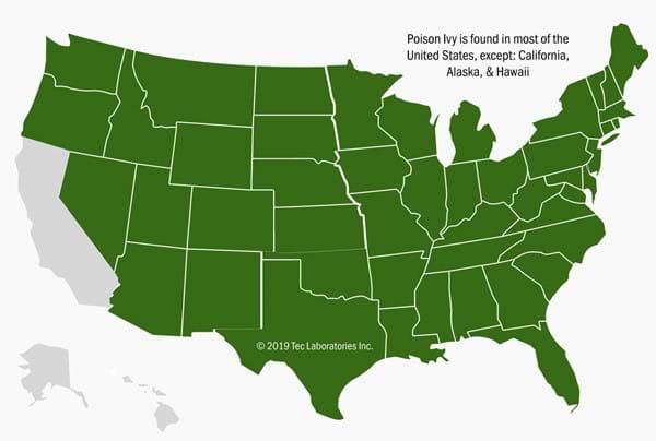Map of the USA where Poison Ivy mostly grows.