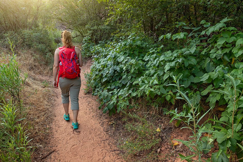 A female hiker passing by a trail with poison ivy plants.