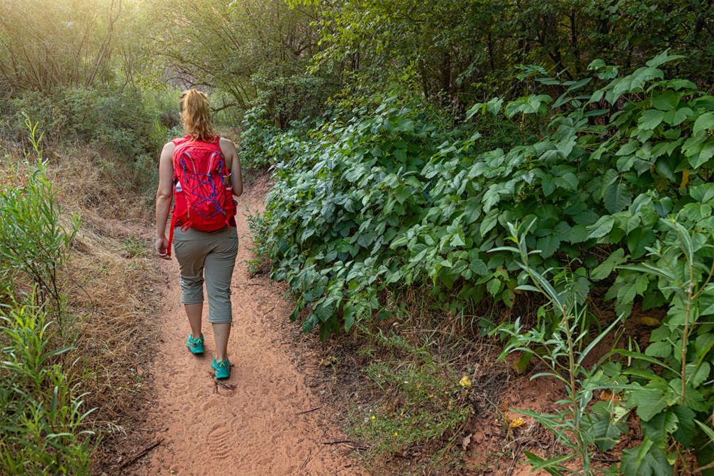 A young blonde lady is hiking on a trail with her red backpack.